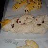 2003_12 Niggi-Näggi