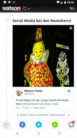 2019 Fasnacht Watson